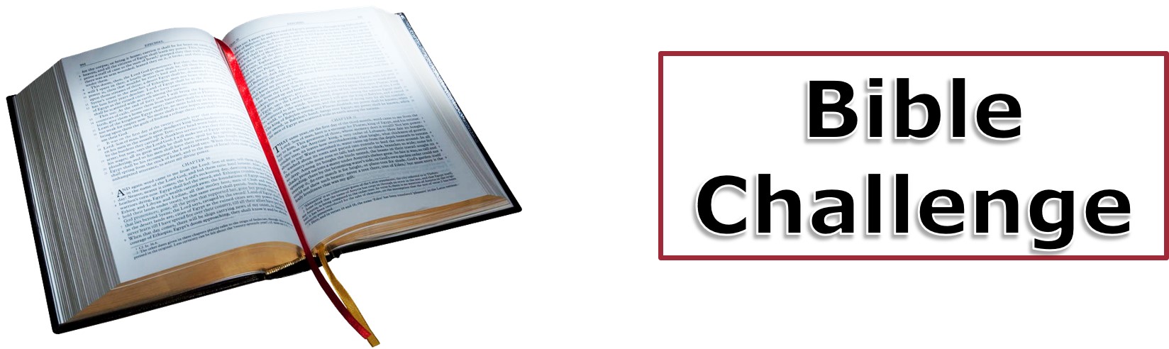 Bible Reading Challenge